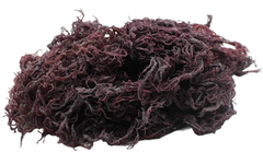 Sea Moss 1kg